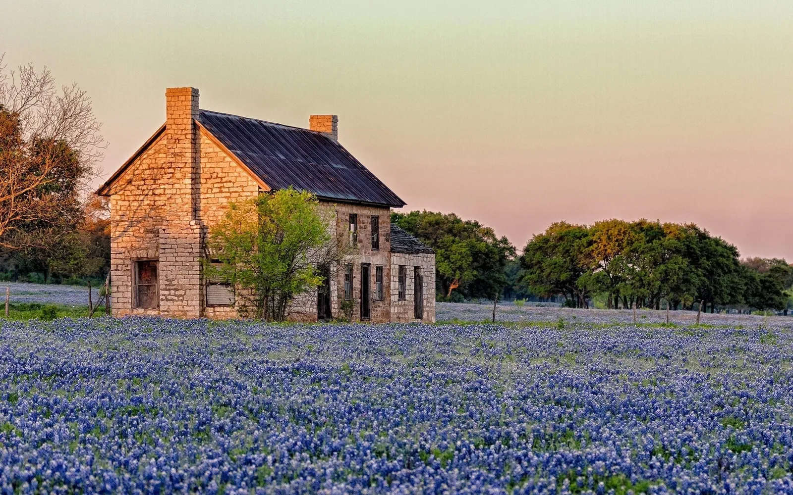 BlueBonnet Acres